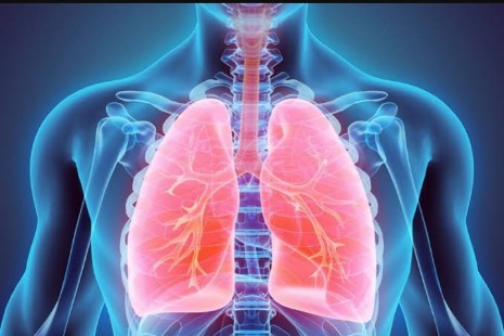 Menjaga Kesehatan Paru-paru Berikut Tips Dari Kadiskes Inhil