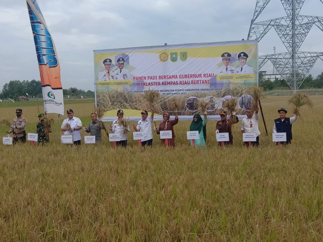 Danramil 03/Tempuling Hadii Panen Padi Bersama Gubernur Riau dan Forkopimda di Kabupaten Inhil