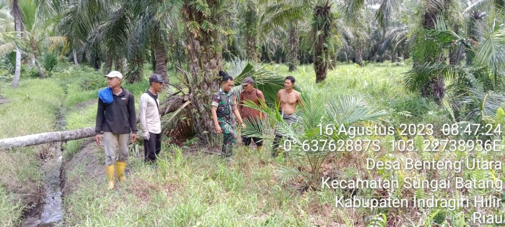 Babinsa Koramil 07/Reteh Patroli Rutin Karlahut Guna Cegah Kebakaran di Wilayah
