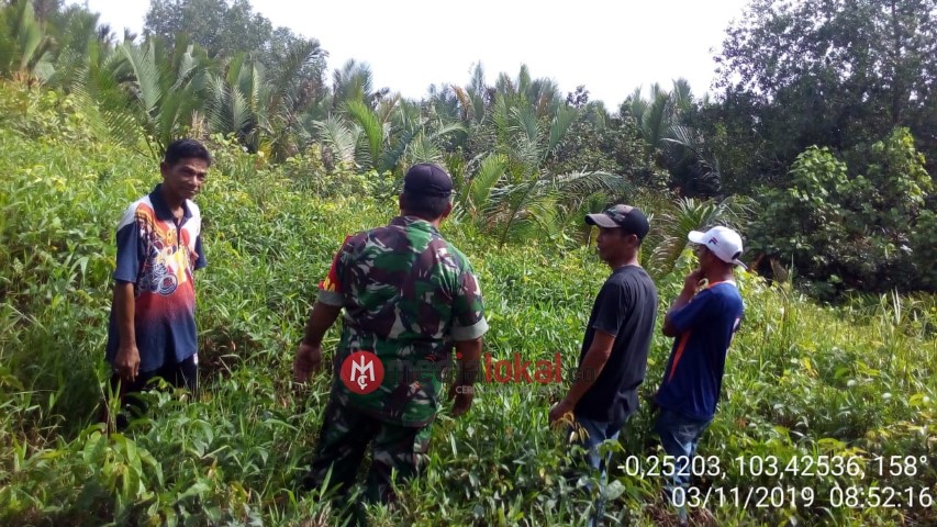 Cegah Karhutla, Babinsa Koramil 04/Kuindra Gelar Patroli dan Sosialisasi di Dusun Menjenai
