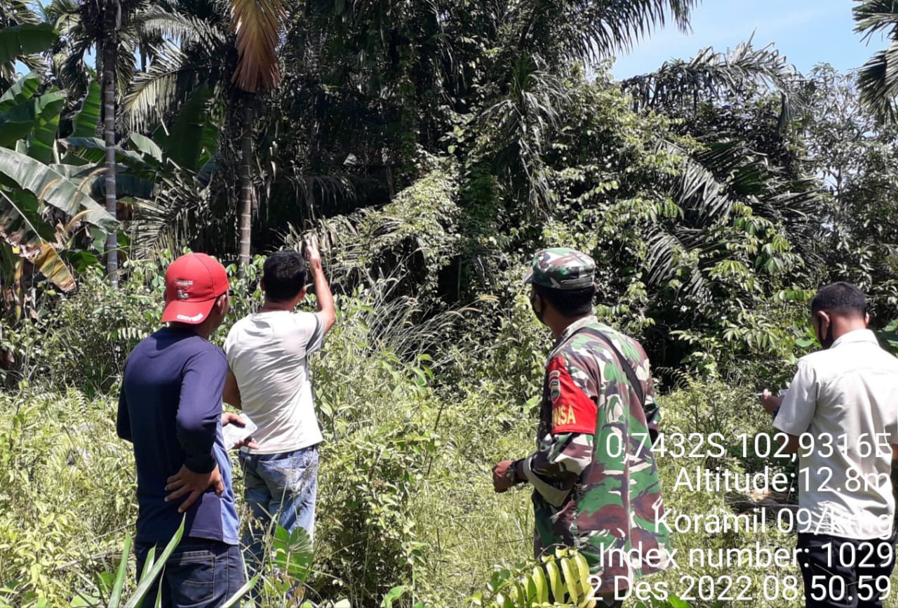 Kepedulian Terhadap Karhutla Terus Dilakukan Babinsa Koramil 09/Kemuning