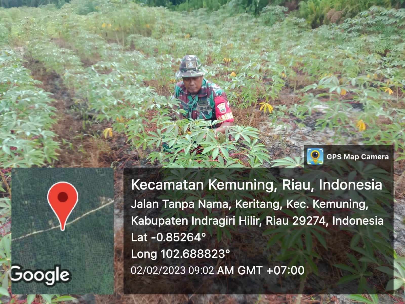 Upaya Pembersihan Tanaman Liar Terhadap Gulma Oleh Koramil 09/Kemuning