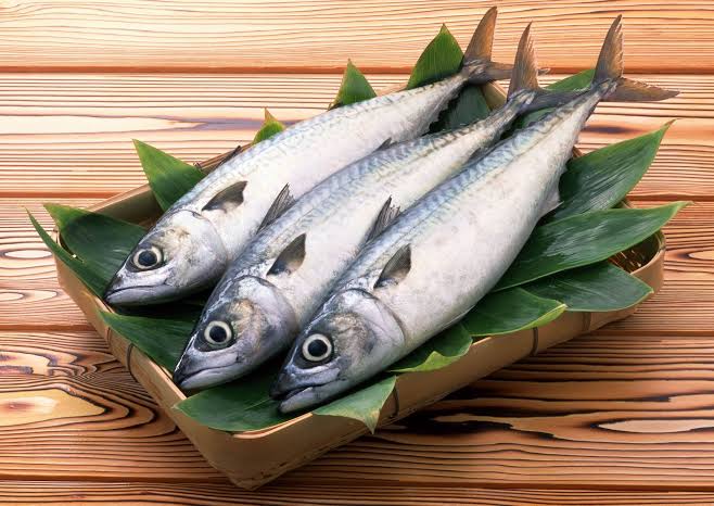 Dinkes Inhil Jelaskan Pentingnya Konsumsi Ikan Dalam Memenuhi Gizi dan Protein