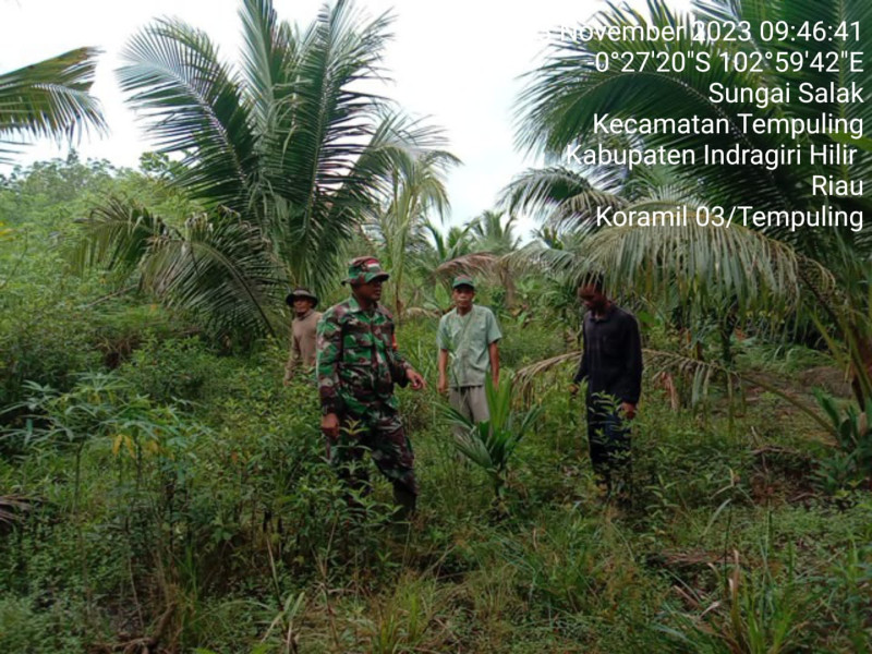 Upaya Pencegahan Kebakaran Hutan dan Lahan, Babinsa 03/Tpl Rutin Lakukan Patroli dan Sosialisasi Karhutla