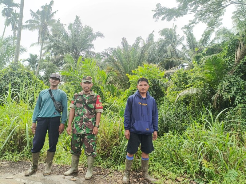 Babinsa Koramil 03/Tempuling Laksanakan Patroli Tapal Batas Upaya Cegah Karhutla