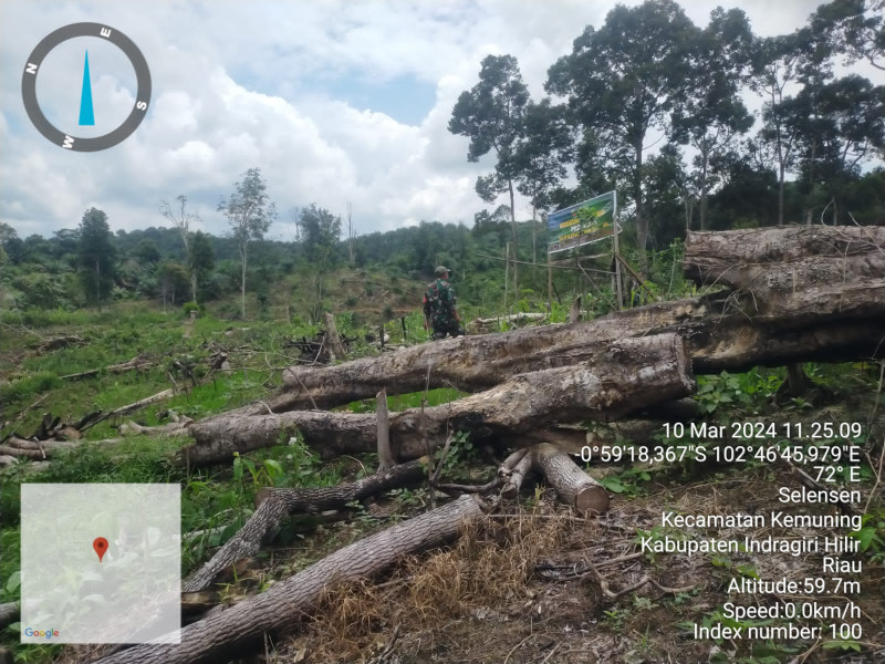 Tingkatkan Ketahanan Pangan, Babinsa Koramil 09/Kemuning Dampingi Penanaman Padi Gogo