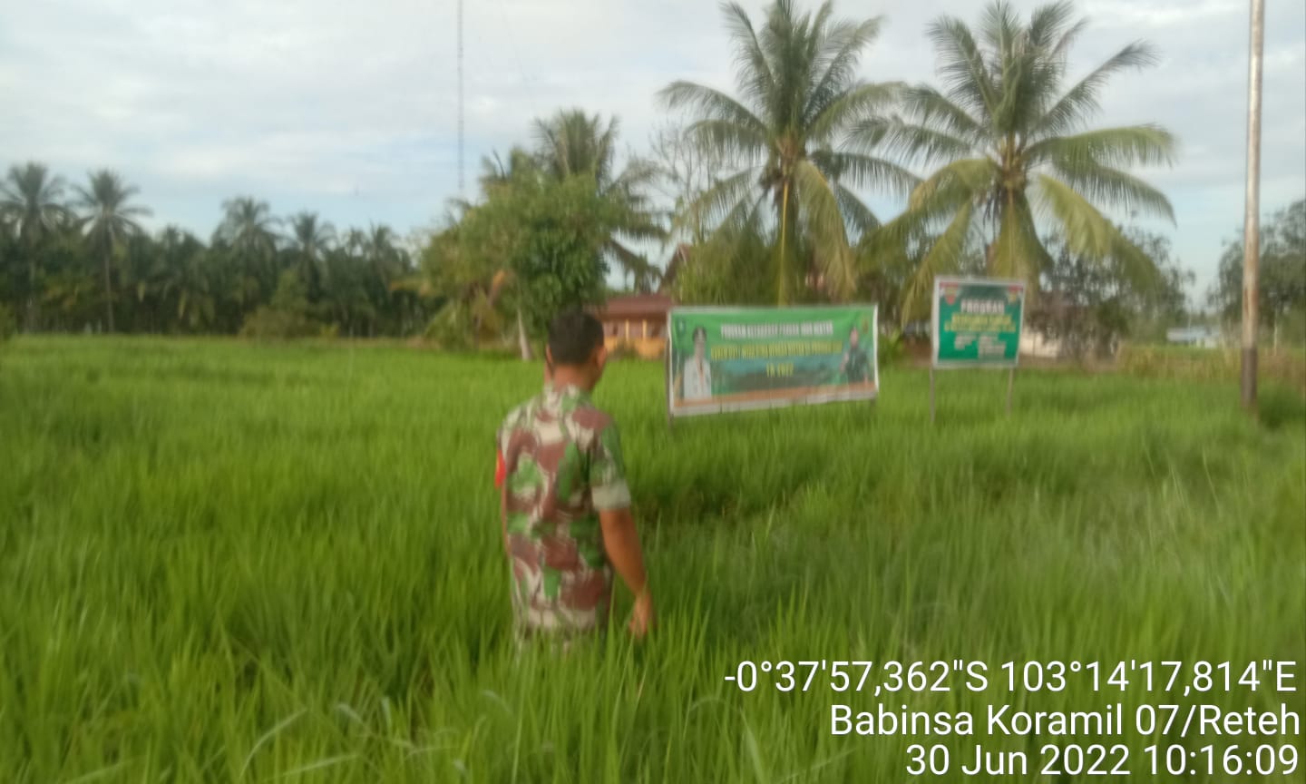 Guna Pembersihan Sawah Dari Rumput Oleh Koramil 07/Reteh