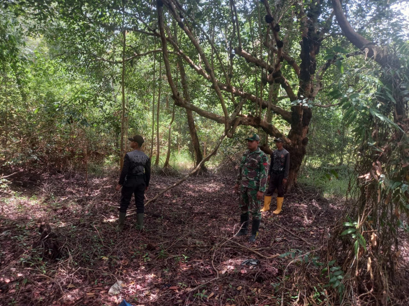 Cegah Kebakaran Hutan Babinsa Koramil 05/Gas Pratu Sandi Wahyudi Laksanakan Giat Patroli di Binaan Dengan Warga
