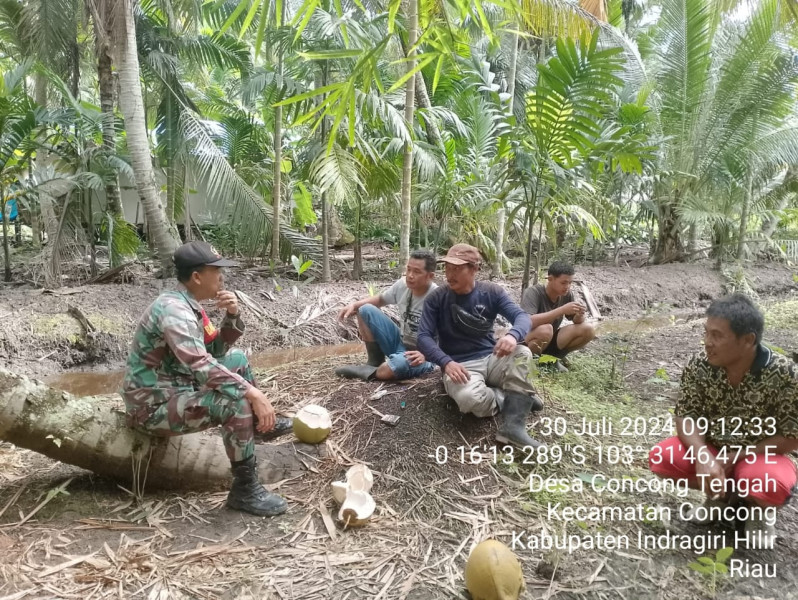 Wujudkan Kerjasama Yang Erat, Babinsa Koramil 04/Kuindra Berikan Motivasi Kepada Para Petani Kelapa