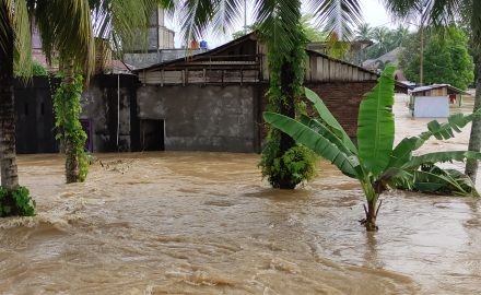 Warga Butuh Evakuasi dan Makanan, Rohul Dikepung Banjir