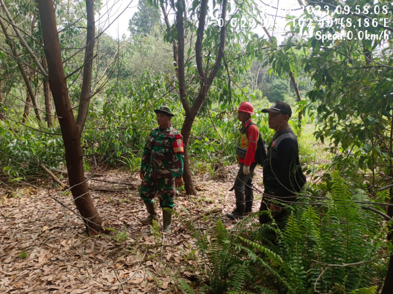 Gencar, Babinsa 05/Gas Kopda Chandra Manto Laksanakan Patroli Hutan Dan Lahan
