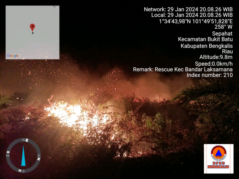 Laporan Pudalops PB BPBD Bengkalis, Api Muncul Di Hutan dan Belukar Sawit Desa sepahat