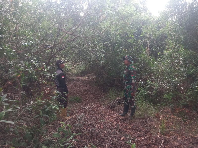 Babinsa Koramil 05/Gas Kodim 0314/Inhil Pratu Sandi Wahyudi Gencar Lakukan Patroli Mitigasi di Desa Binaan
