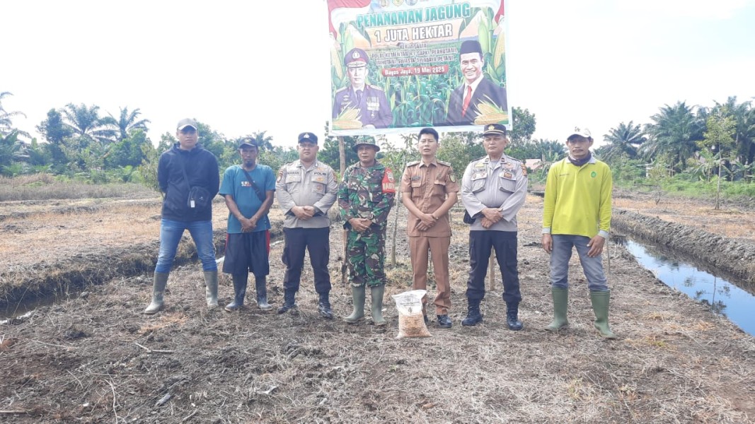 Babinsa Koramil 03/Tempuling Dukung Program Ketahanan Pangan dengan Kegiatan Tanam Jagung di Desa Bayas Jaya