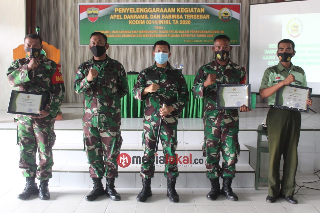 Amankan Senpi dan Bantu Penangkapan Harimau, Babinsa Kodim 0314/Inhil Terima Piagam