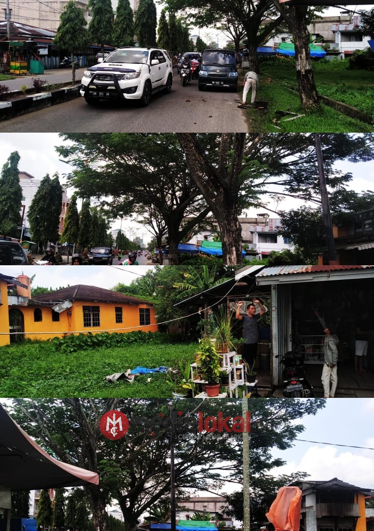 Kabel Listrik Tertimpa Pohon, Lalin Jalan Baharudin Yusuf Dekat Simpang Kembang Terganggu