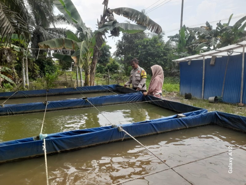 Bhabinkamtibmas Desa Pengalihan Monitoring Kolam Ikan Warga dalam Mendukung Ketahanan Pangan