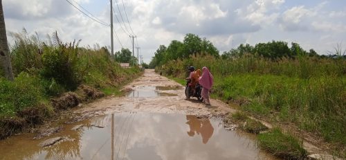 Pemuda Inhil Helmi Kusri, S.H Berharap Pemerintah Daerah Segera Memberikan Respon