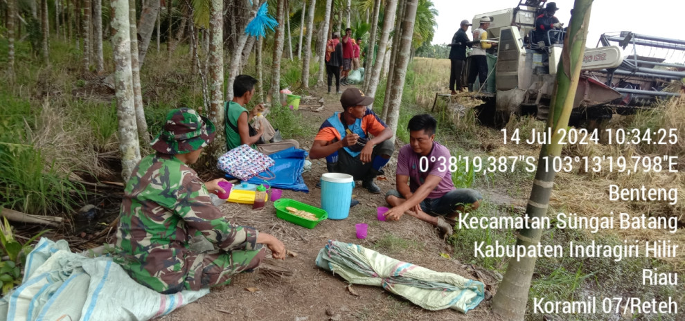 Babinsa Sertu Maihasan Lakukan Pendampingan Terhadap Petani Yang Sedang Panen Padi