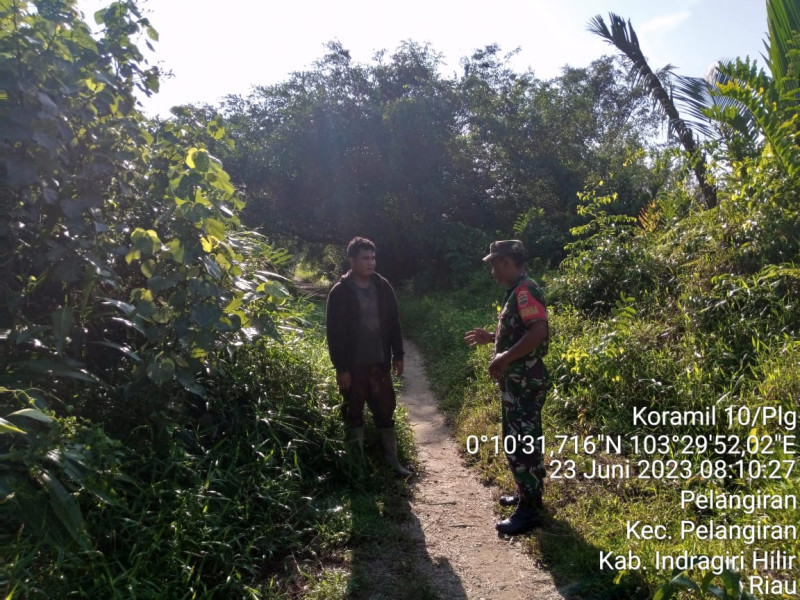 Dengan Cuaca Yang Panas, Babinsa Koramil 10/Pelangiran Tetap Turun Lakukan Patroli Karhutla