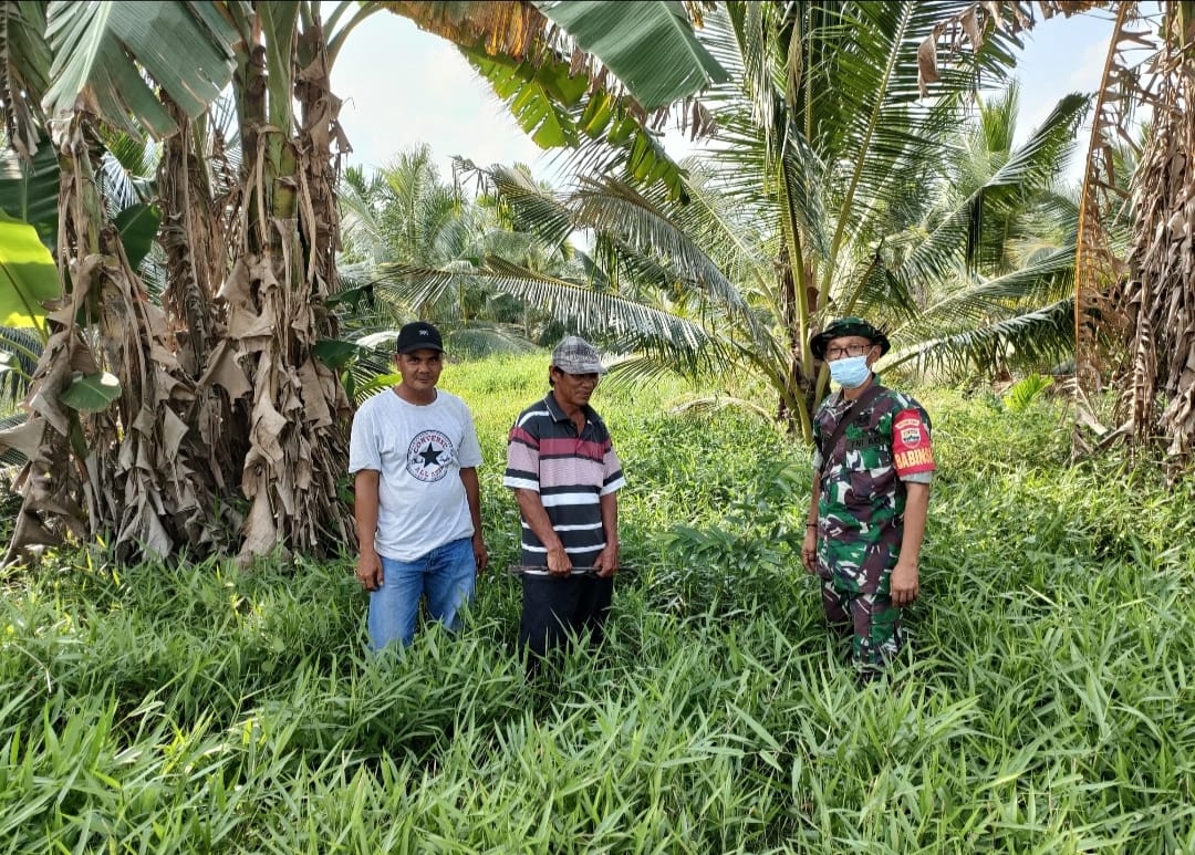 Dengan Patroli dan Sosialisasi, Babinsa Koramil 04/Kuindra Cegah Kebakaran Hutan dan Lahan