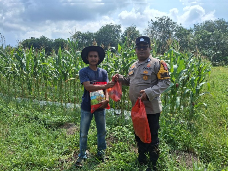 Kanit Binmas Polsek Siak dan Bhabinkamtibmas Serahkan Bantuan Sembako kepada Petani Jagung Pipil di Kecamatan Mempura