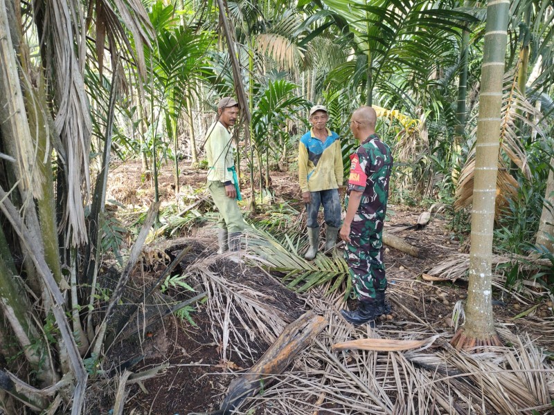Waspada Karlahut, Babinsa Sertu Ichlas Manalu Laksanakan Patroli dan Sosialisasi untuk Mencegah Bencana