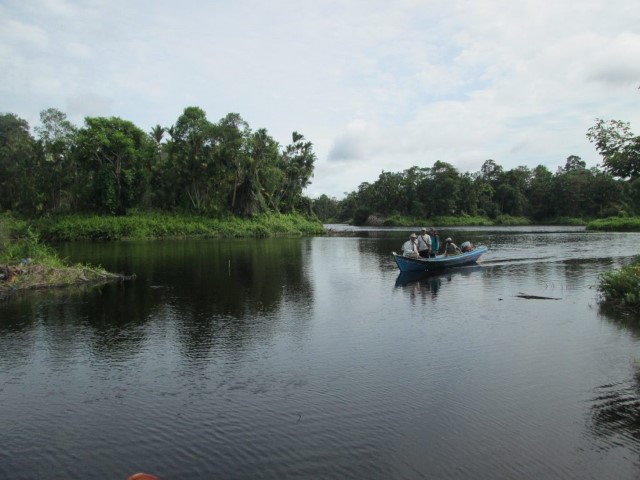 Inilah Surga Tersembunyi di Inhil dan Tempat Berkembang Biaknya Burung-Burung Migran