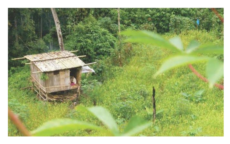 Setelah Pulang dari Daerah Terjangkit, Ibu 2 Anak Ini Isolasi Diri di Pondok Ladang