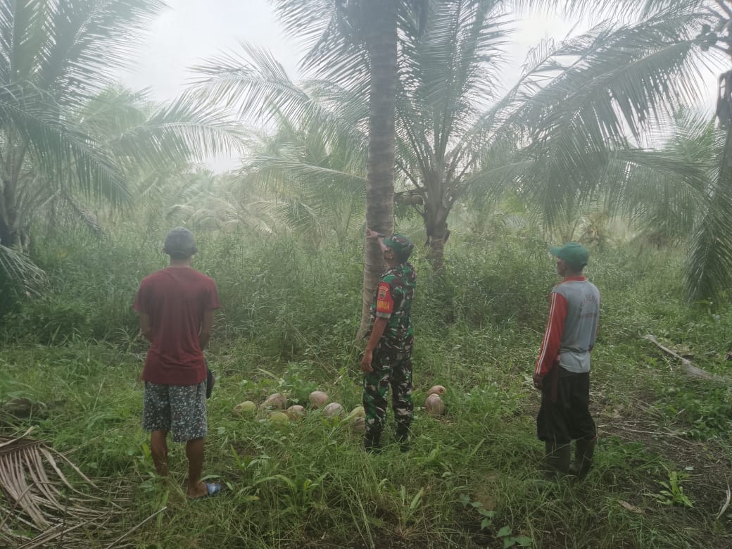 Bersama Masyarakat Petani, Babinsa Koramil 04/Kuindra Tetap Lakukan Patroli Karlahut
