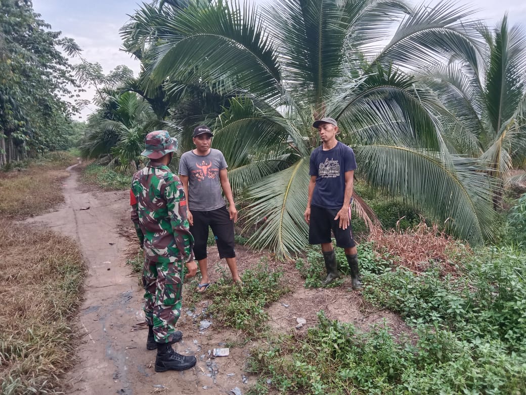Cegah Karhutla, Babinsa Koramil 04/Kuindra Patroli di Lahan dan Kebun Masyarakat