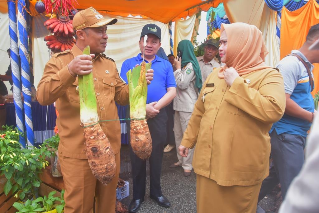 Peringatan Hari Tani Nasional, Momentum Tingkatkan Kesejahteraan Petani