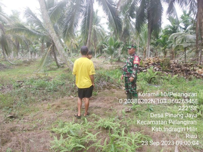 Telusuri Karhutla, Babinsa Koramil 10/Pelangiran Terus Jaga Bersama Masyarakat