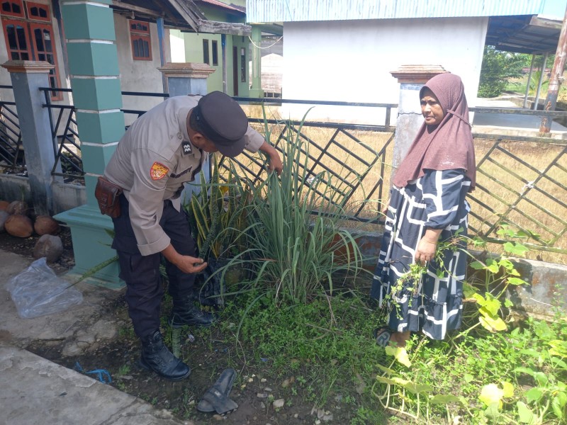 Dorong Produktivitas Ekonomi Warga, Personel Polsek Enok Pantau Tanaman Di Perkarangqn Rumah