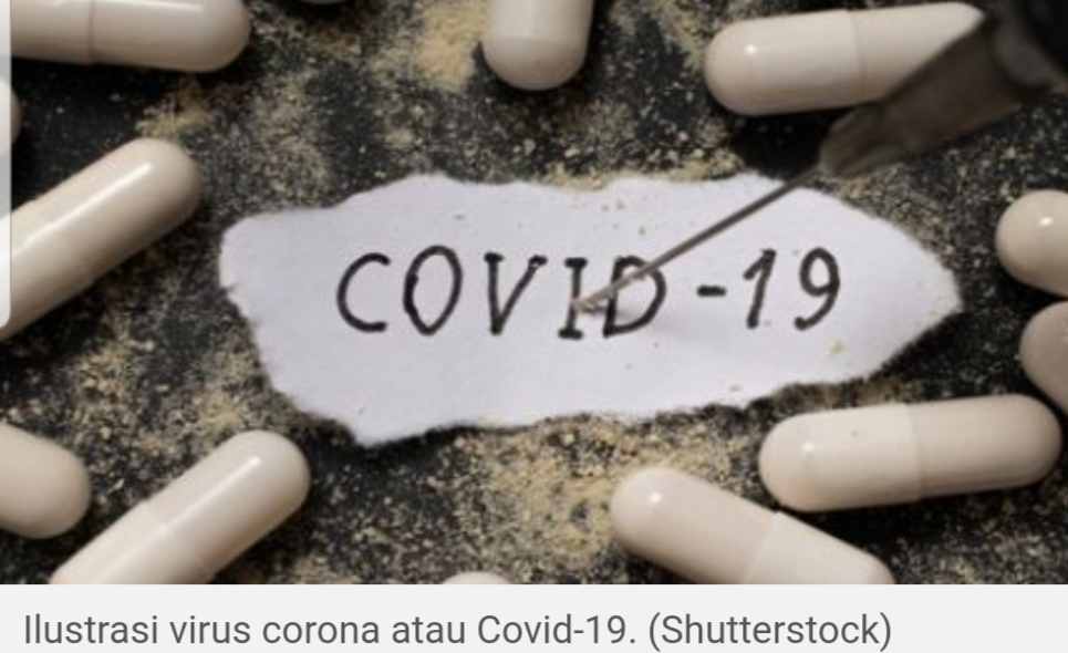 BIN Perkirakan Puncak Corona di Indonesia Sampai Bulan Ramadan