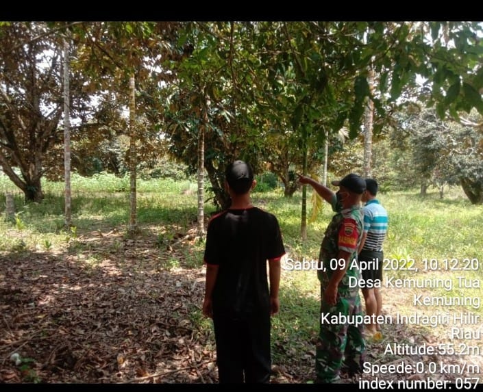 Babinsa Koramil 09/Kemuning Adakan Sosialisasi dan Patroli Karhutla di Lahan Masyarakat Kemuning Tua