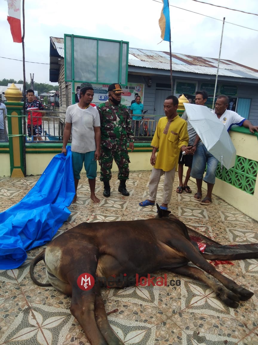 Babinsa Koramil 04/Kuindra Bantu Warga Dalam Pelaksanaan Qurban di Concong