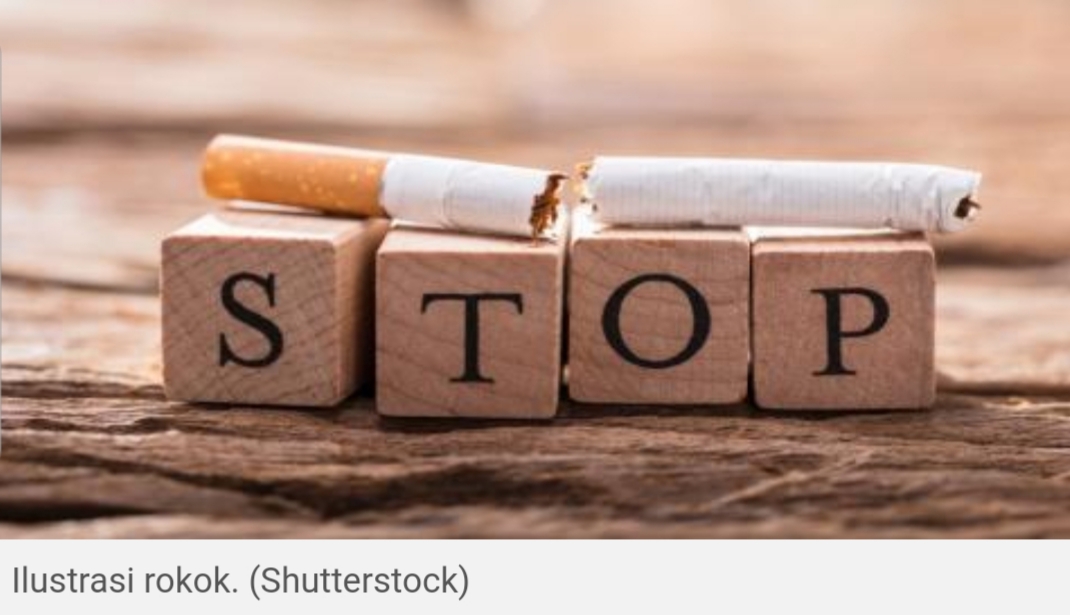 Akhirnya Ditemukan, Ini Alasan Perokok Lebih Mudah Terinfeksi Corona Akhirnya Ditemukan, Ini Alasan Perokok Lebih Mudah Terinfeksi Corona