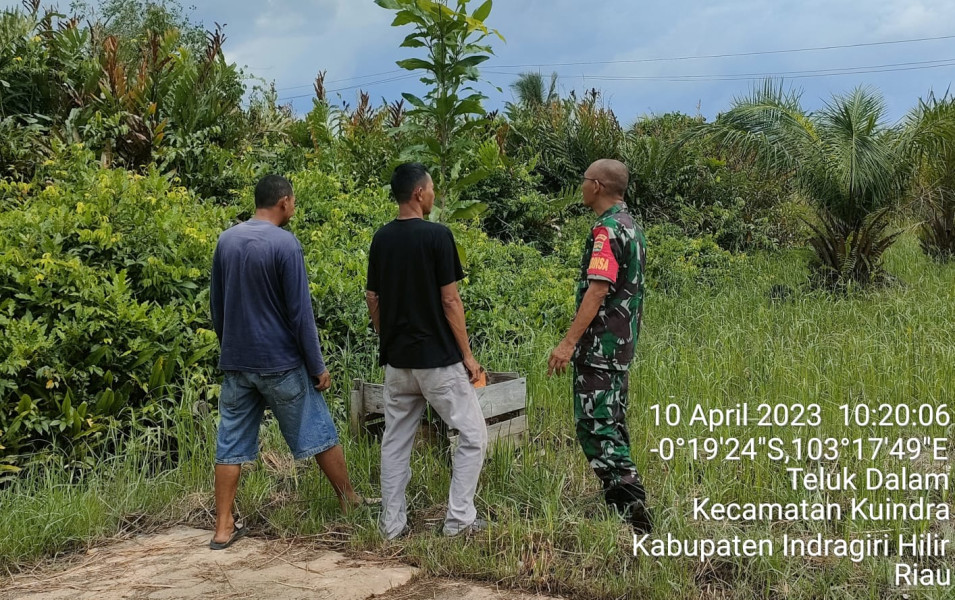 Babinsa Koramil 04/Kuindra Jaga Lahan dan Hutan di Desa Binaan