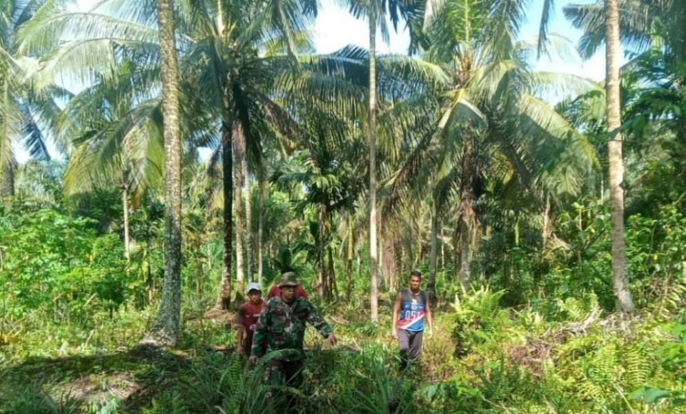 Cegah Karhutla, Babinsa Koramil 03/Tpl Rutin Laksanakan Patroli