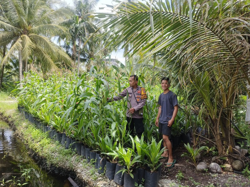 IPTU Andi Purba: Jagung Rambaian Bukti Asta Cita Tumbuh dari Tanah Warga