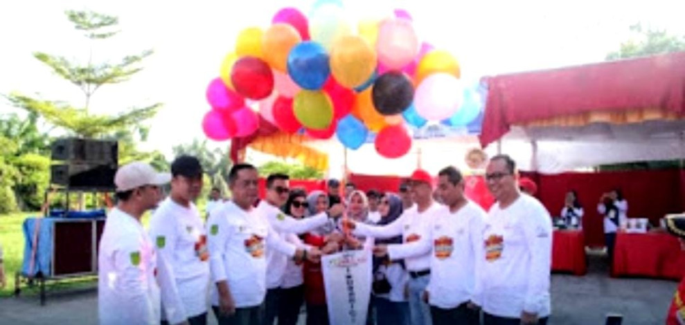 Wakil Ketua DPRD Hadiri Pencanangan Milad Inhil ke-59