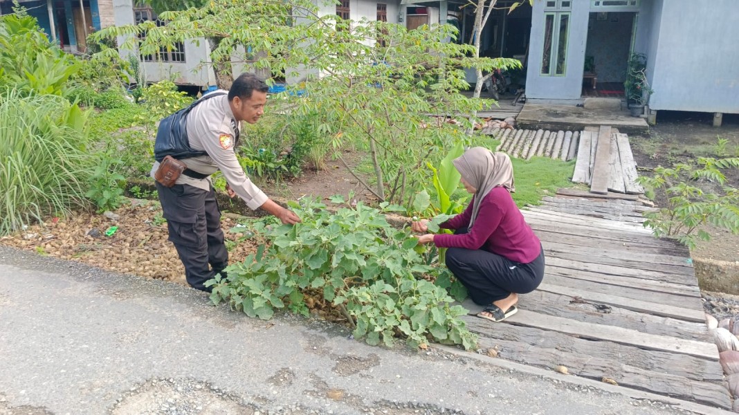 Polsek Enok Gerak Cepat, Aiptu Benny Codiyat Kawal Pemanfaatan Pekarangan Warga