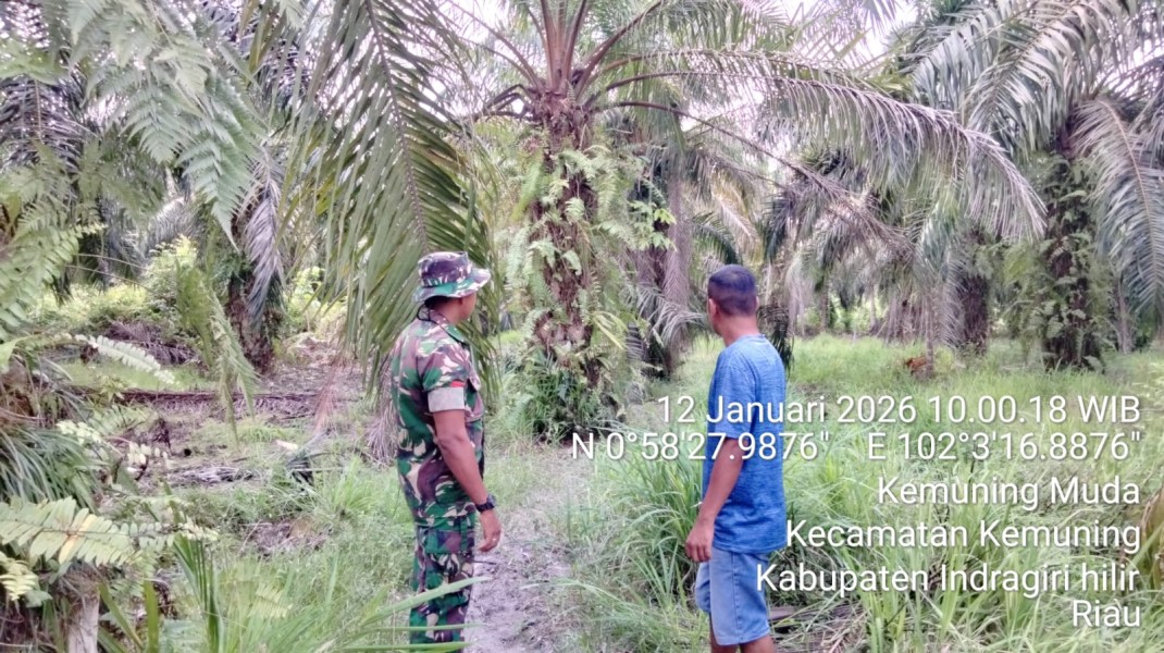 Babinsa Koramil 09/Kemuning Laksanakan Patroli Tapal Batas di Desa Kemuning Muda