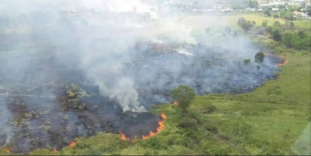 Hingga Pertengahan Maret 2020, 680 Hektar Lebih Lahan di Riau Terbakar