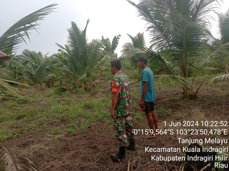 Cegah Kebakaran Hutan dan Lahan Melalui Patroli Rutin Bersama Babinsa Koramil 04/Kuindra di Binaan