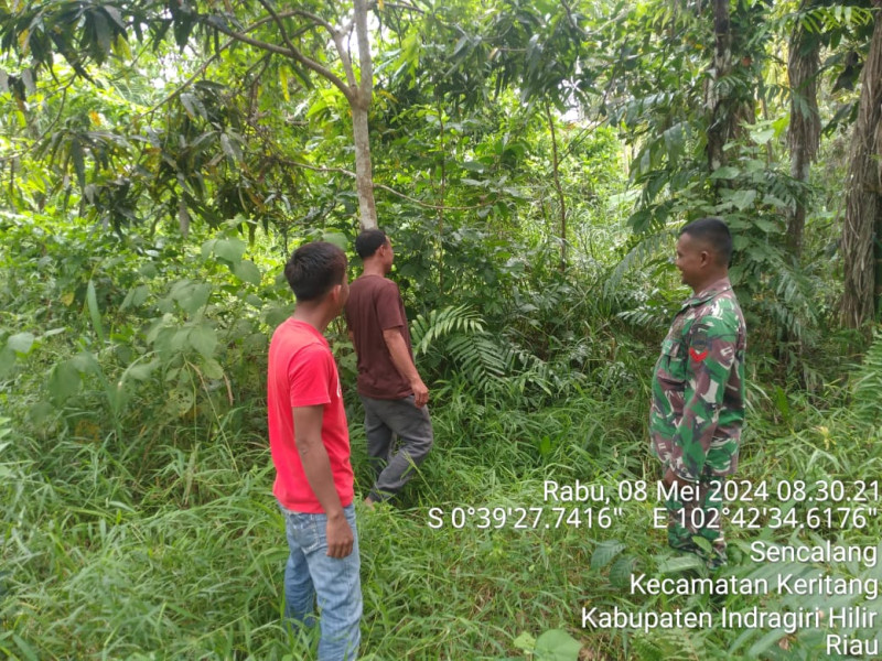 Babinsa Koramil 09/Kmg Giat Lakukan Pencegahan Karhutla Bersama Warga