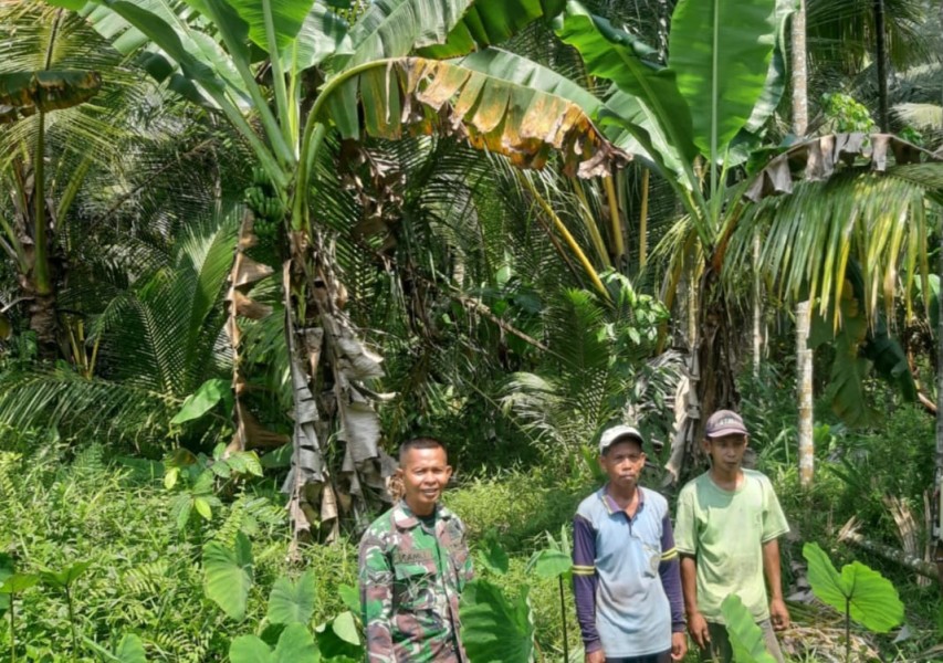 Babinsa Sertu Ramli Laksanakan Patroli Karhutla Bersama Masyarakat di Desa Binaan