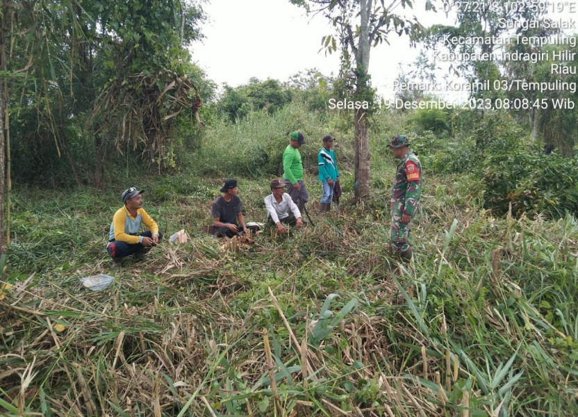 Babinsa 03/Tpl Sertu Paryono Melaksanakan Komsos Dengan Masyarakat Melalui Kegiatan Gotong Royong