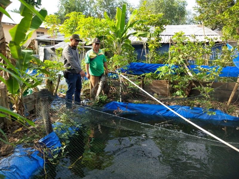 AIPDA Krisman Wahyuda: Pekarangan Produktif Kunci Ketahanan Pangan Keluarga